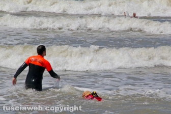 Tarquinia - La presentazione del Piano collettivo di salvataggio