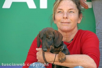 La prima comunità per cani e umani