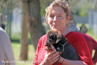 La prima comunità per cani e umani