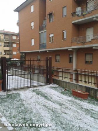 Neve a Viterbo