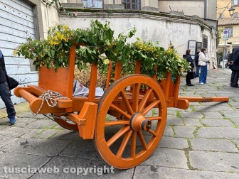 Viterbo - La processione del Santissimo Salvatore