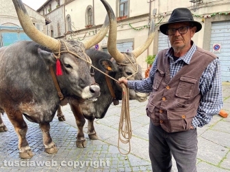 Viterbo - La processione del Santissimo Salvatore