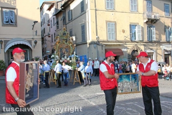 Viterbo - La processione della Madonna Liberatrice