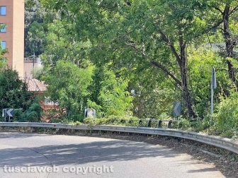La pulizia della curva di Ponte dell'Elce