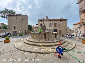 La pulizia delle fontane