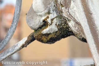 Viterbo - La fontana di San Faustino