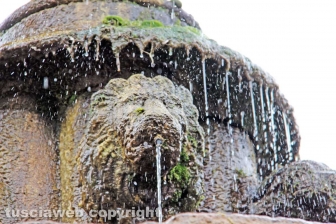 Viterbo - La fontana di piazza del Gesù