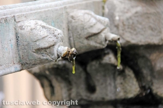 Viterbo - Fontana Grande