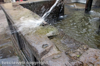 Viterbo - Fontana Grande