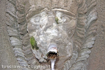 Viterbo - La fontana della Crocetta