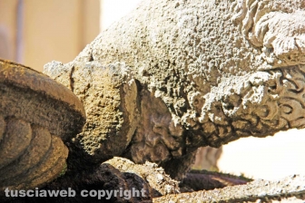 Viterbo - La fontana di piazza delle Erbe