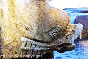 Viterbo - La fontana di piazza del Comune