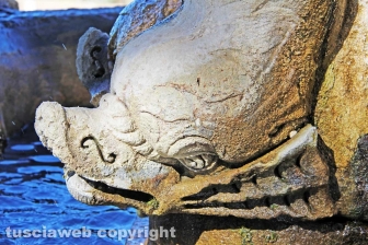 Viterbo - La fontana di piazza del Comune