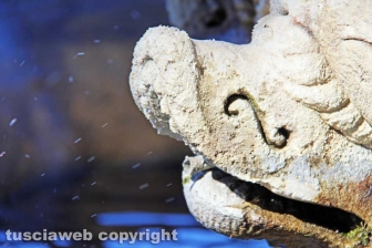 Viterbo - La fontana di piazza del Comune