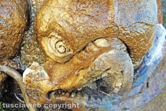 Viterbo - La fontana di piazza del Comune