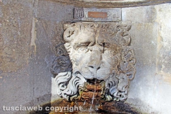 Viterbo - La fontana di piazza del Comune