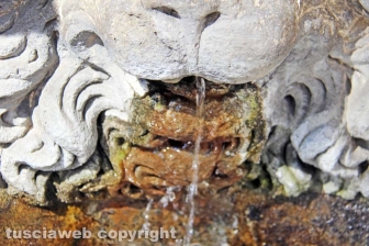 Viterbo - La fontana di piazza del Comune