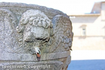 Viterbo - La fontana di piazza San Lorenzo