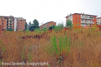 La scuola di Santa Barbara