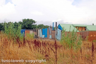 La scuola di Santa Barbara