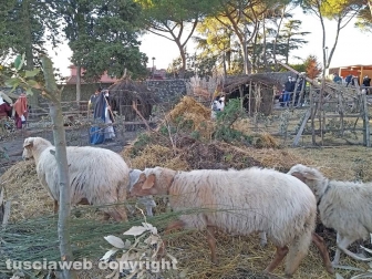 Montefiascone - La sesta edizione del presepe vivente