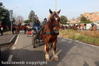 La sfilata di Sant'Antonio