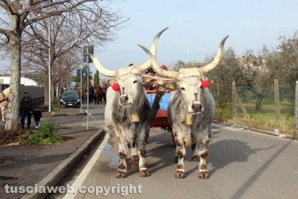 La sfilata di Sant'Antonio