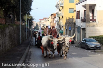 La sfilata di Sant'Antonio