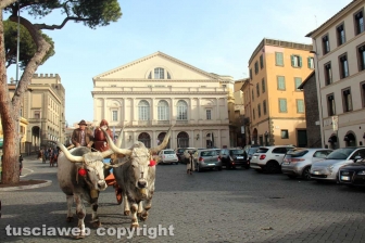 La sfilata di Sant'Antonio