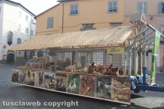 La sfilata di Sant'Antonio