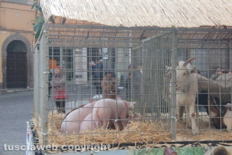 La sfilata di Sant'Antonio