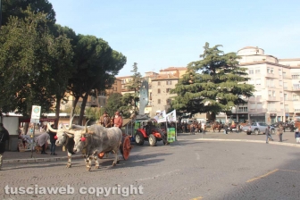 La sfilata di Sant'Antonio