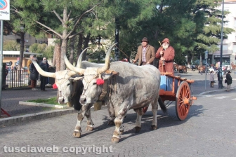 La sfilata di Sant'Antonio