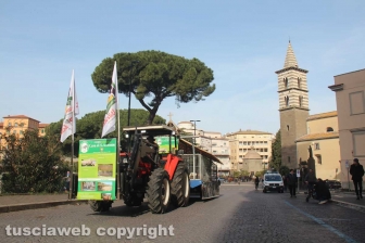 La sfilata di Sant'Antonio