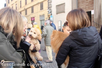 La sfilata di Sant'Antonio