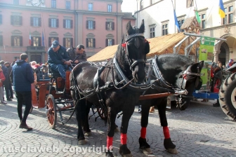 La sfilata di Sant'Antonio