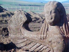 La sfinge di Vulci