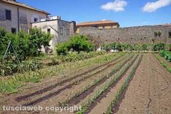 La sottosegretaria Alessandra Pesce a Viterbo