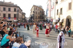Santa Rosa - Corteo storico 2013