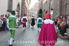 Santa Rosa - Corteo storico 2013