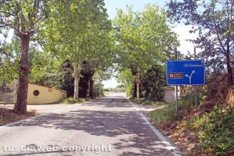 La strada per Castel d'Asso