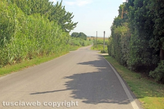 La strada per Castel d'Asso