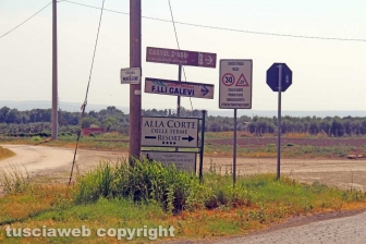 La strada per Castel d'Asso