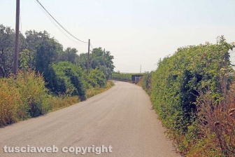 La strada per Castel d'Asso