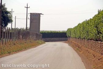 La strada per Castel d'Asso