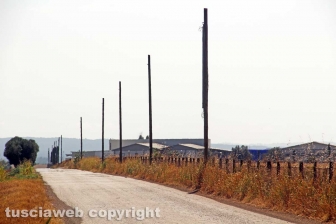 La strada per Castel d'Asso