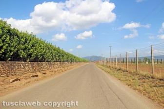La strada per Castel d'Asso