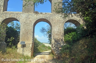 La tomba degli Scudi