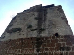 Viterbo - La torre di Castel D’Asso