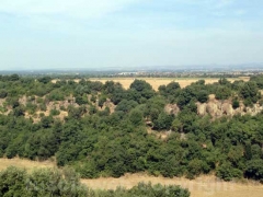 Viterbo - La torre di Castel D’Asso